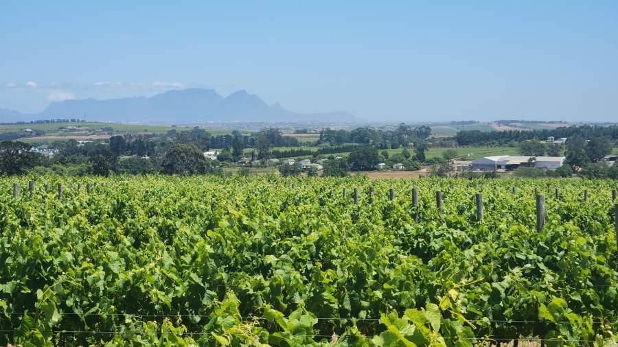 Commercial Property for Sale in Stellenbosch Farms Western Cape